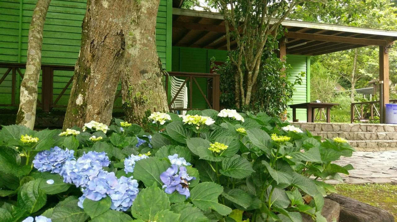 Hemerocallis Country House Nanzhuang Bagian luar foto